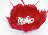 B&eacute;b&eacute; de no&euml;l (BB02)